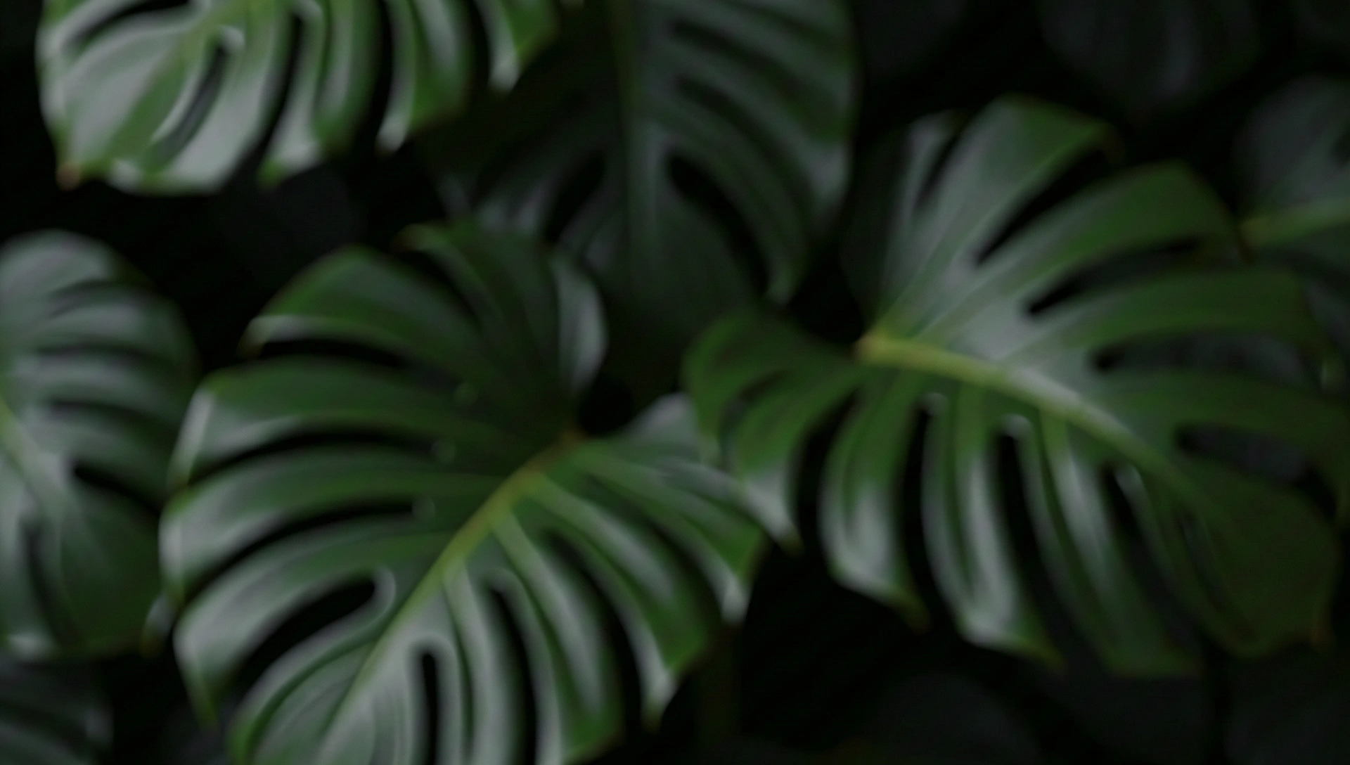 Background texture